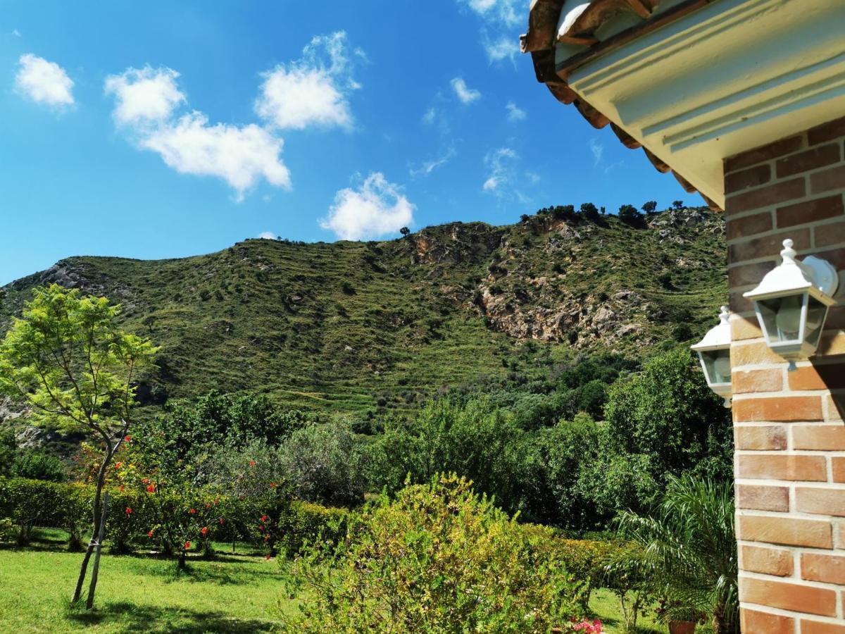 Il Mandorlo Villa Амантеа Екстериор снимка