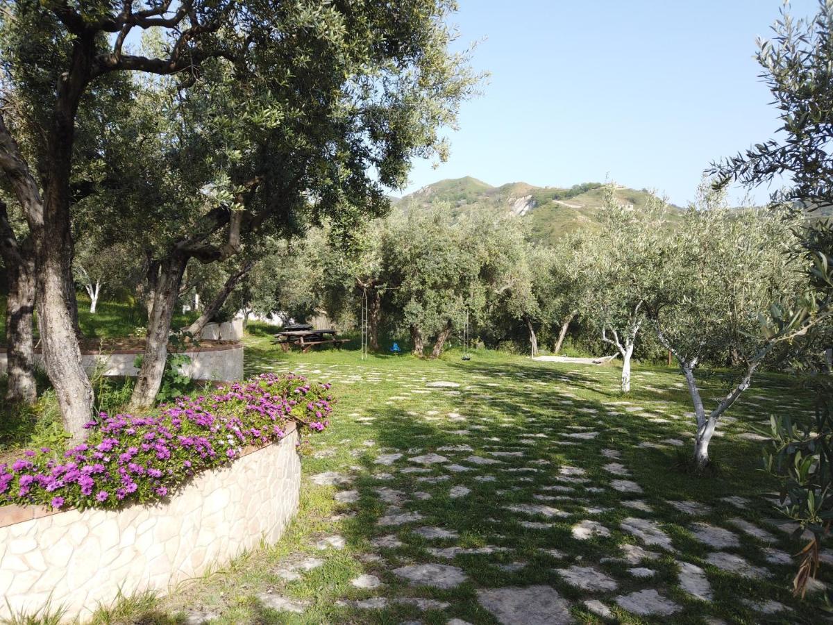 Il Mandorlo Villa Амантеа Екстериор снимка
