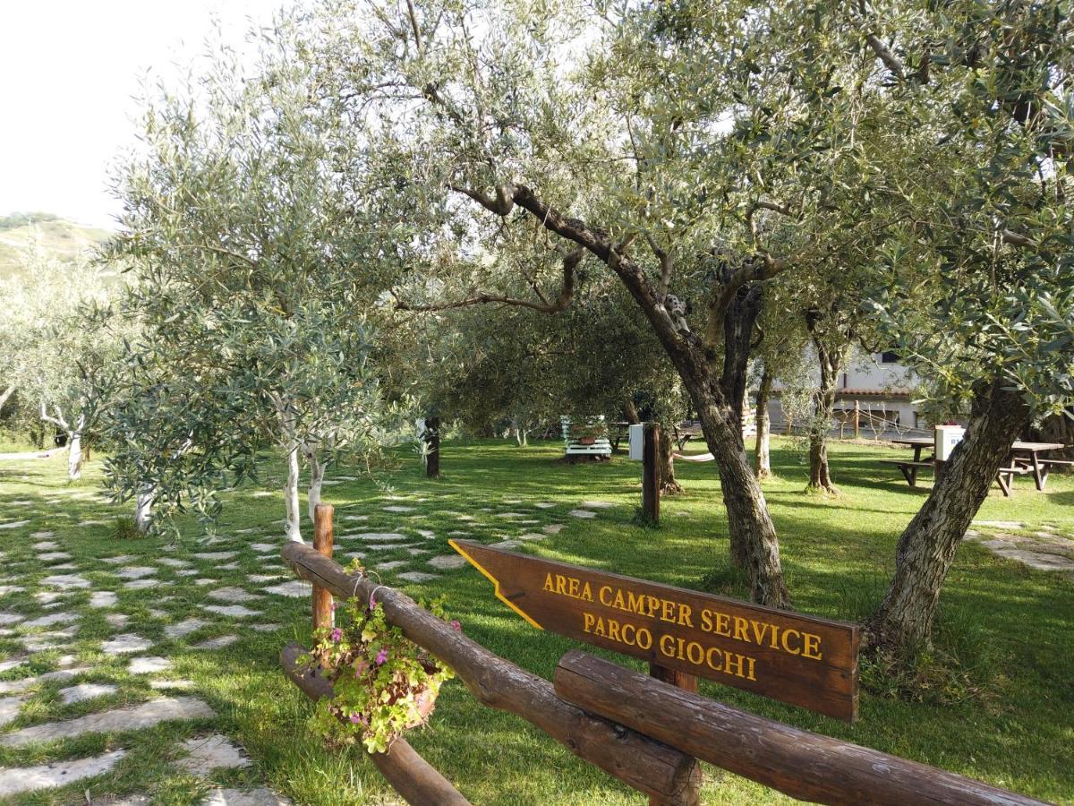 Il Mandorlo Villa Амантеа Екстериор снимка