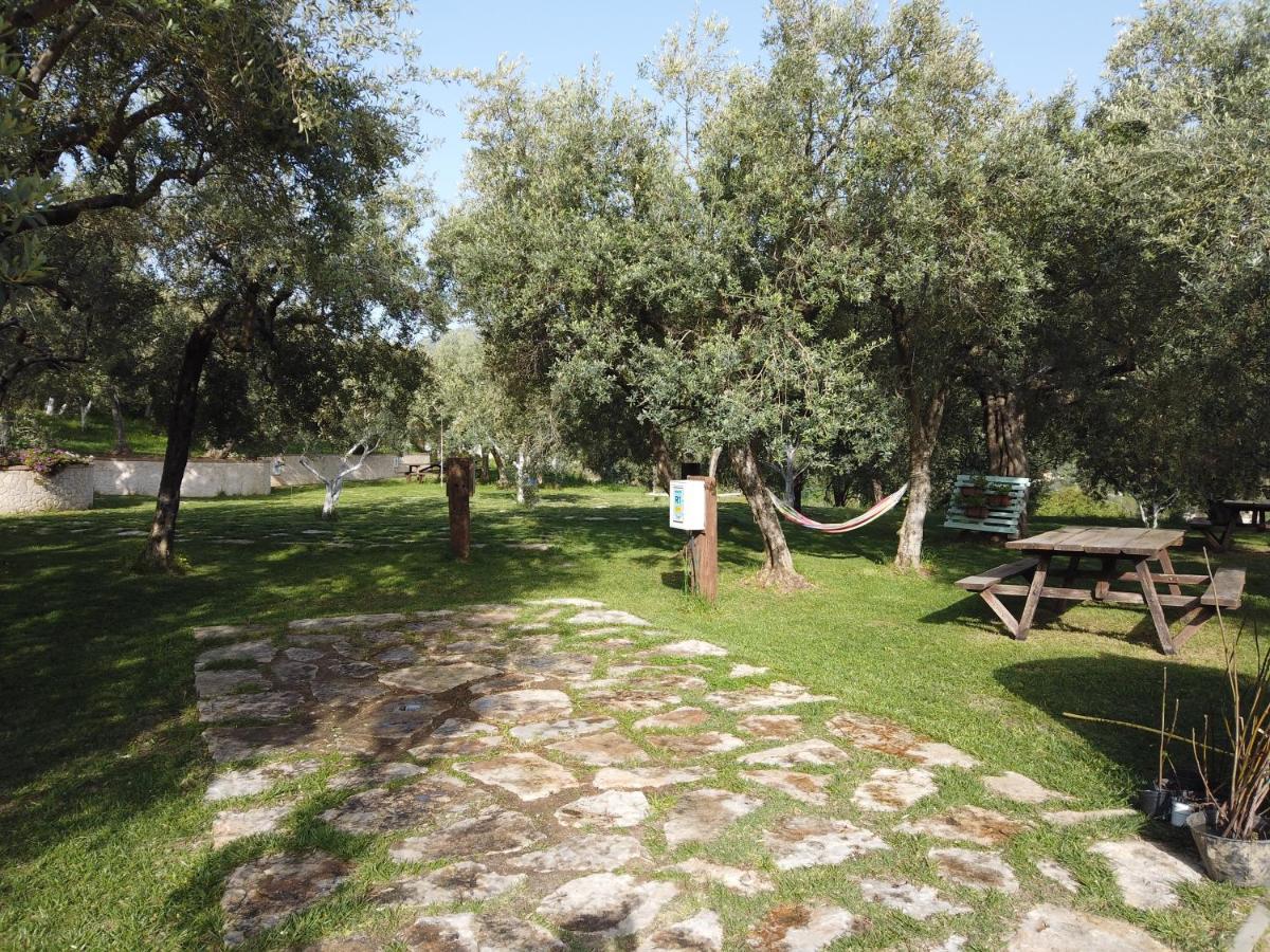 Il Mandorlo Villa Амантеа Екстериор снимка