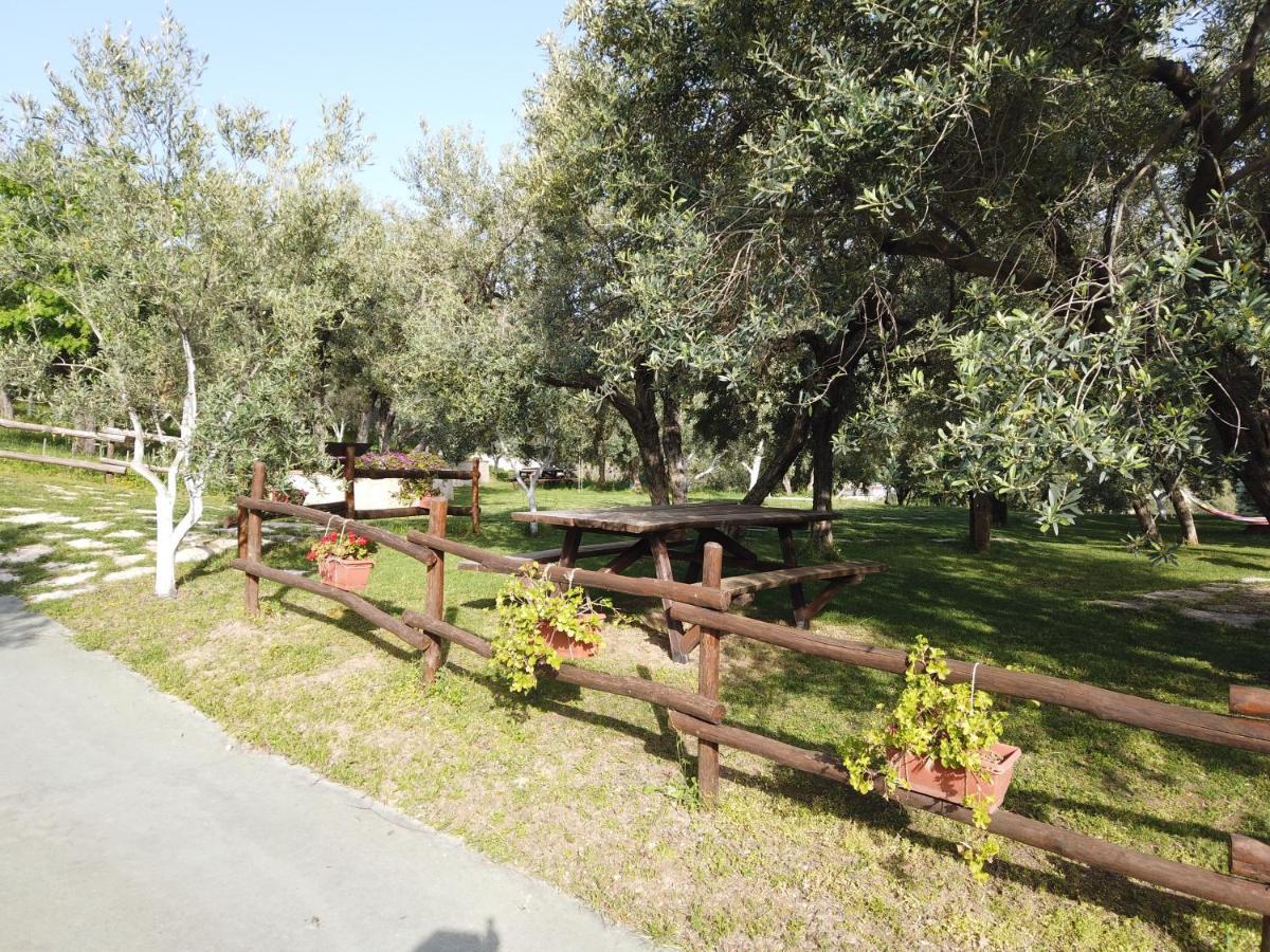 Il Mandorlo Villa Амантеа Екстериор снимка