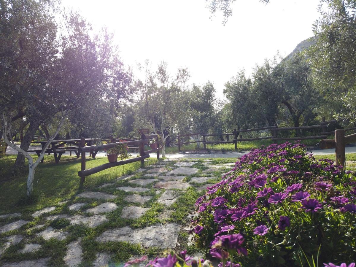 Il Mandorlo Villa Амантеа Екстериор снимка