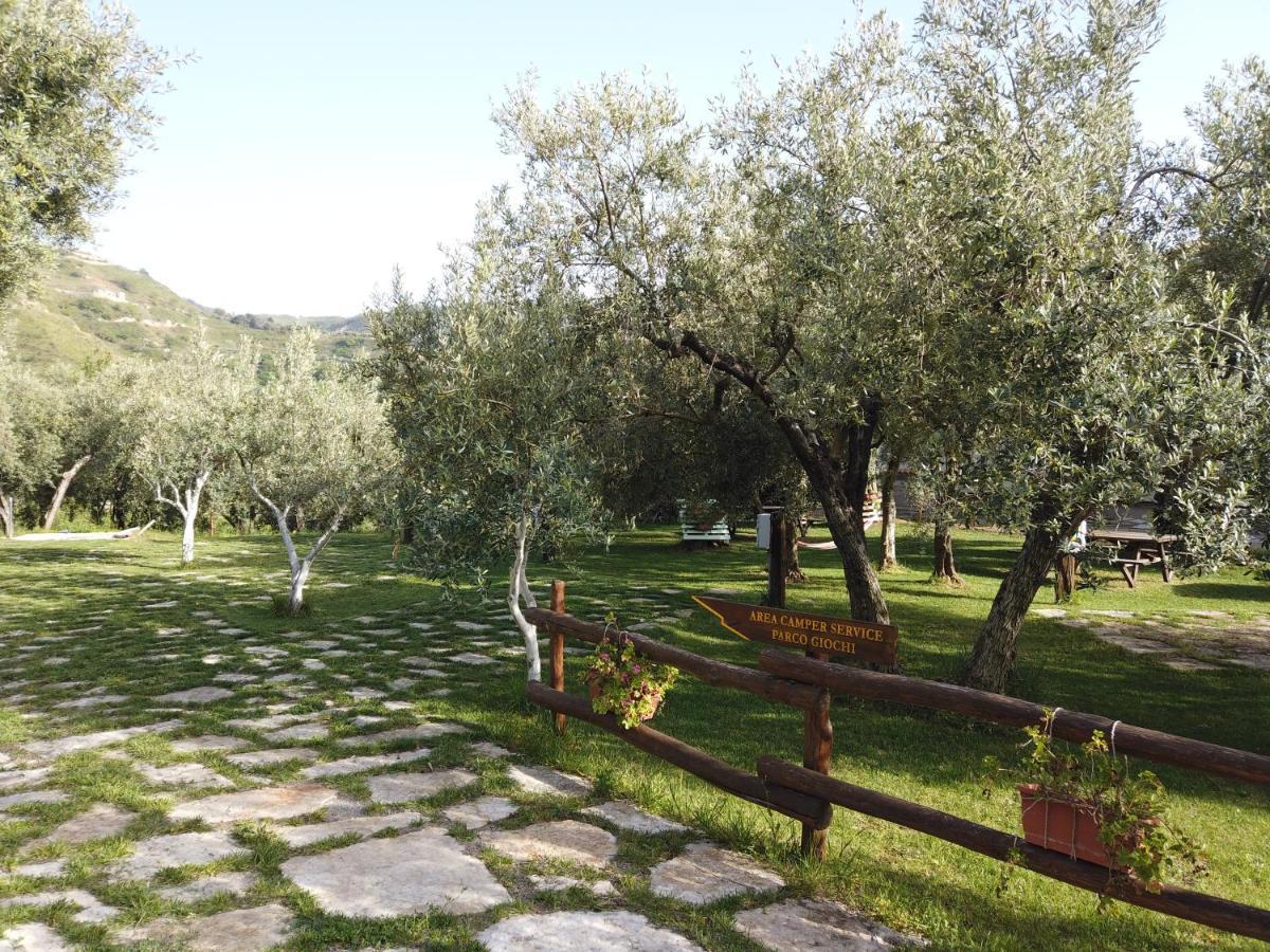 Il Mandorlo Villa Амантеа Екстериор снимка