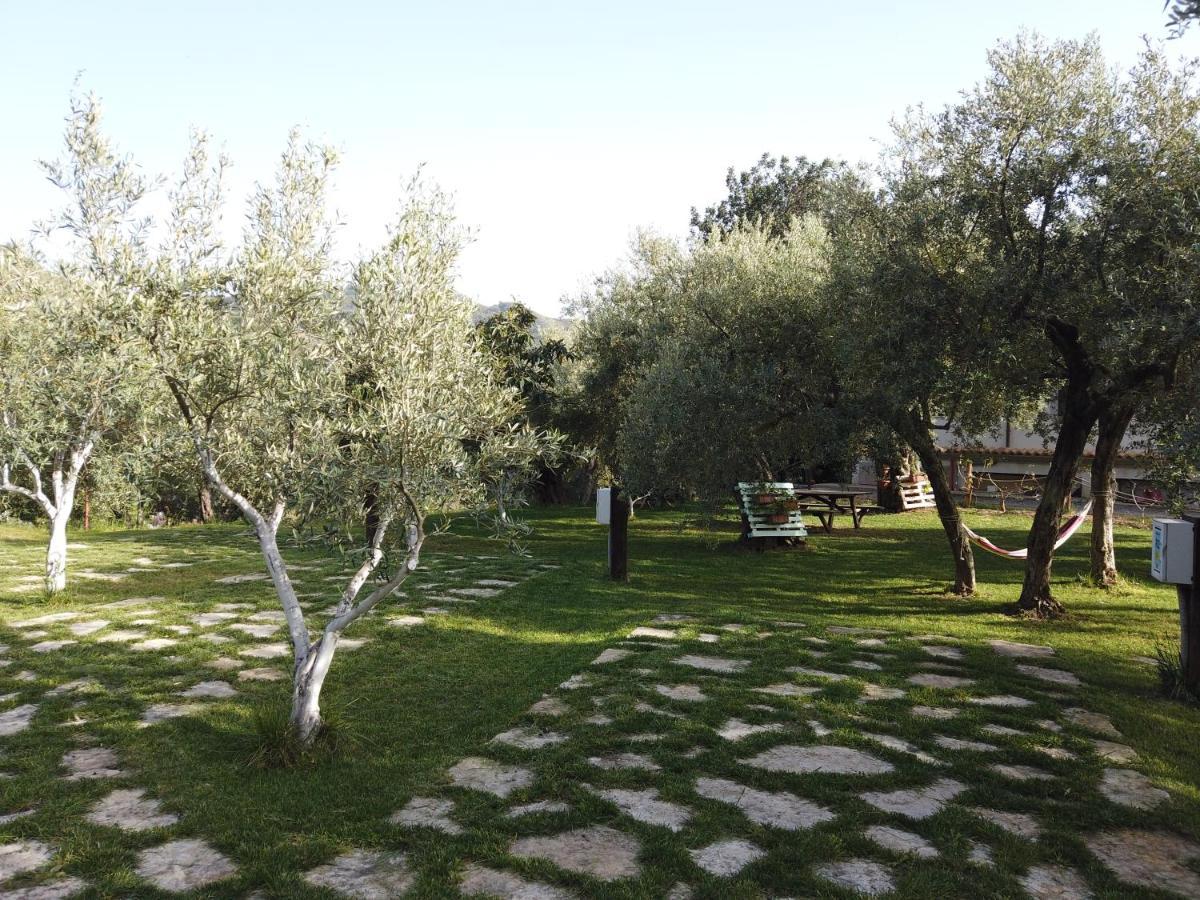 Il Mandorlo Villa Амантеа Екстериор снимка