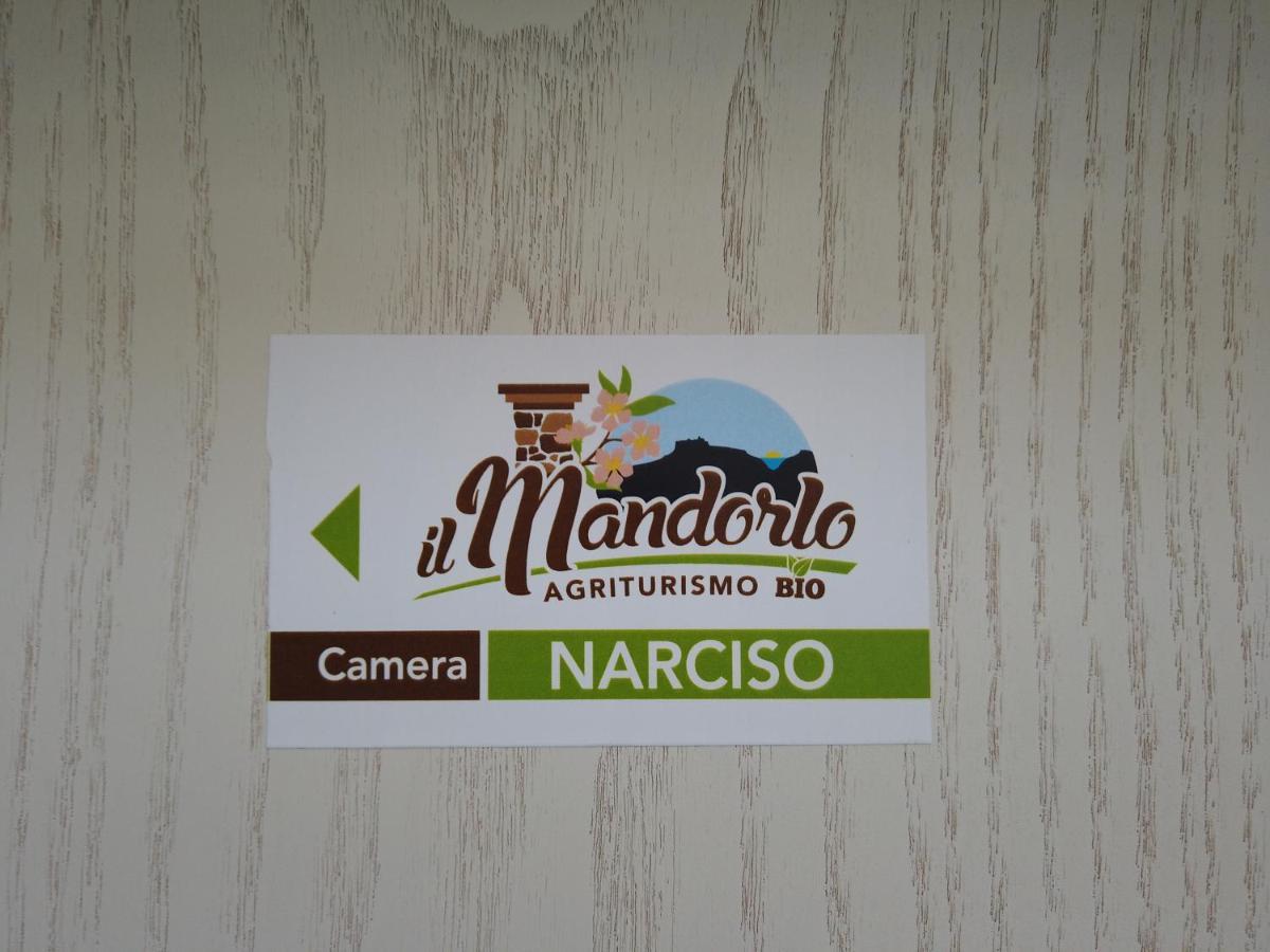 Il Mandorlo Villa Амантеа Екстериор снимка